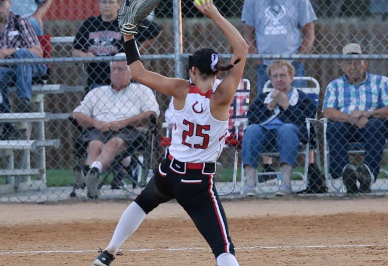 Gaswint throws a pitch from the pitcher's mound, her back to the camera. In the background, behind a chain link fence, spectators sit on lawn chairs.