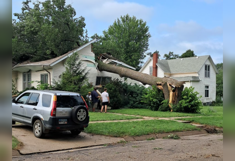A large, mature tree fell onto the roofof a smaller white house.