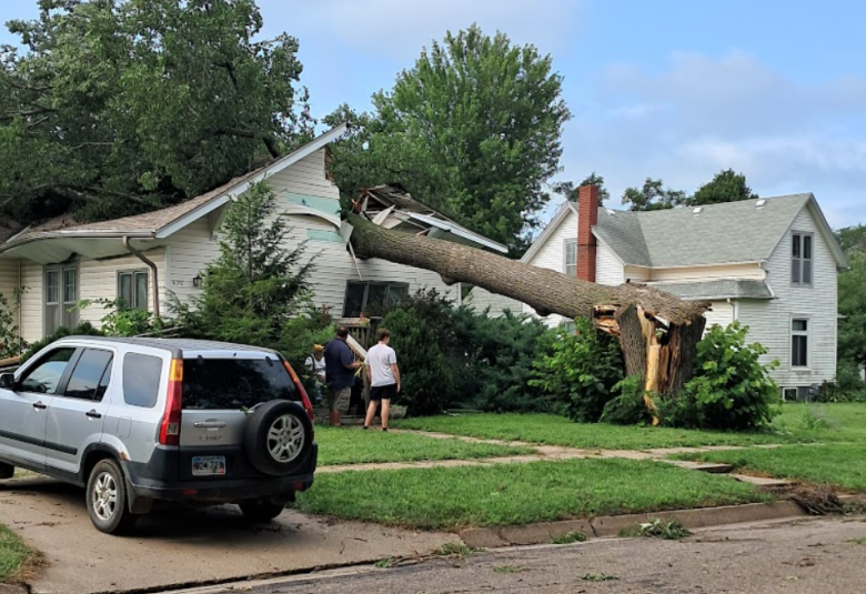 A large, mature tree fell onto the roofof a smaller white house.